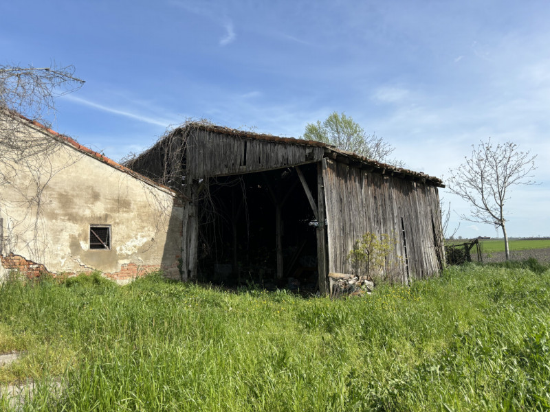 immagine annuncio 5 di 8
