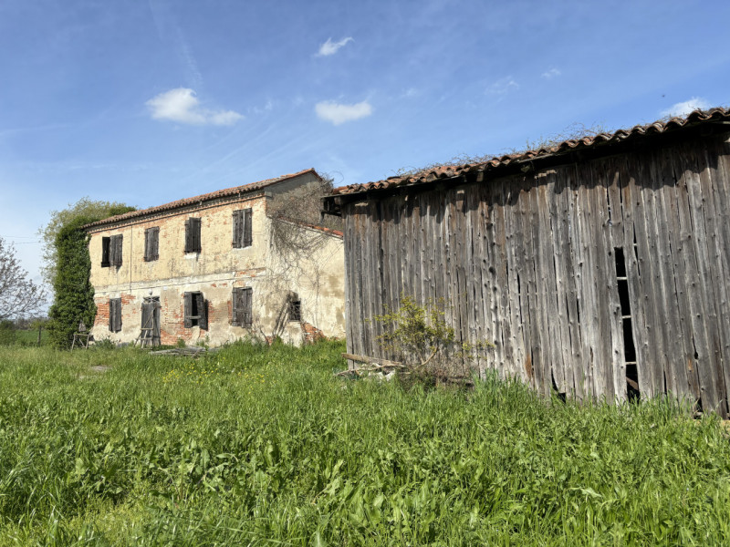 immagine annuncio 4 di 8