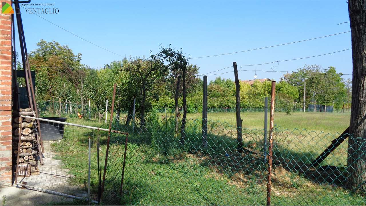 immagine annuncio 3 di 8