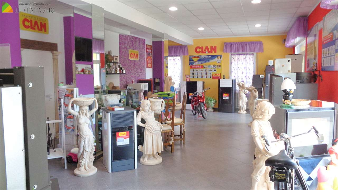 immagine annuncio 2 di 3