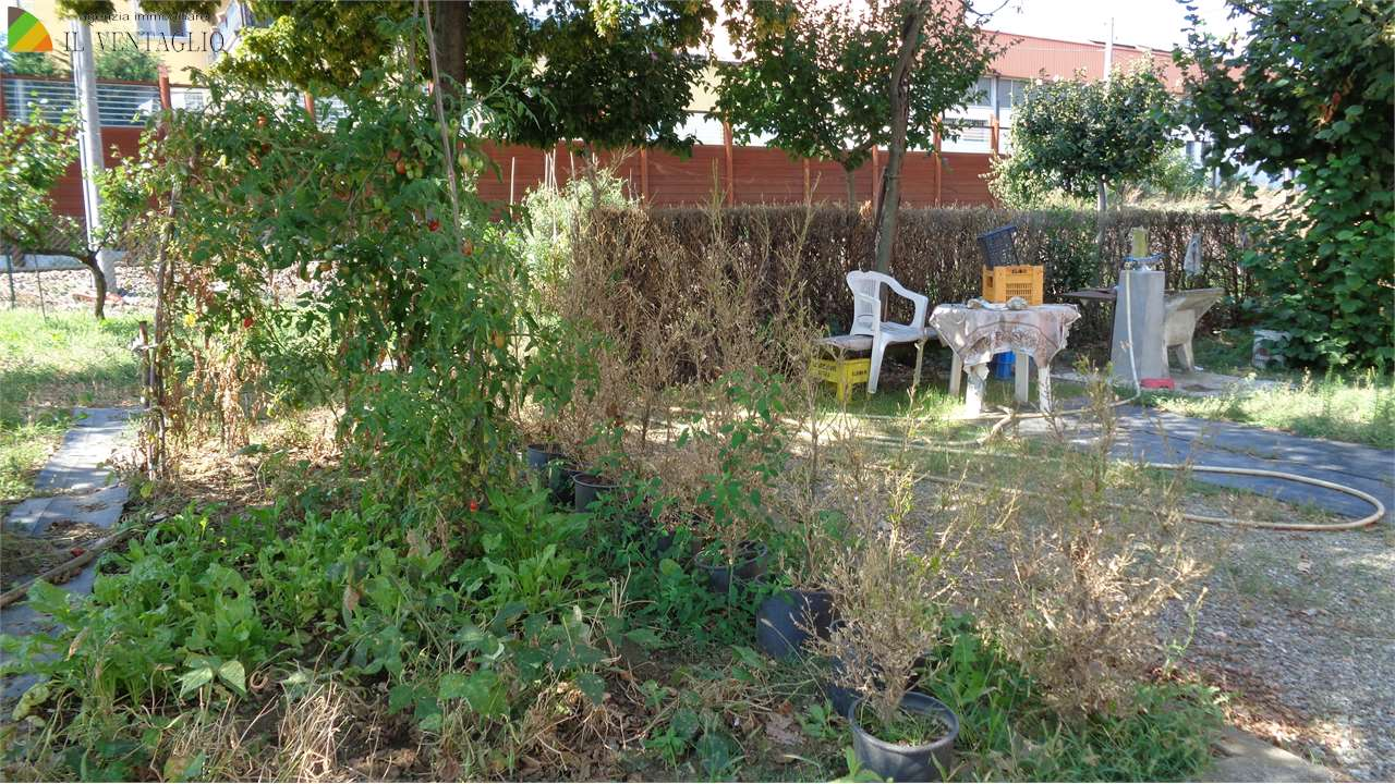 immagine annuncio 4 di 8