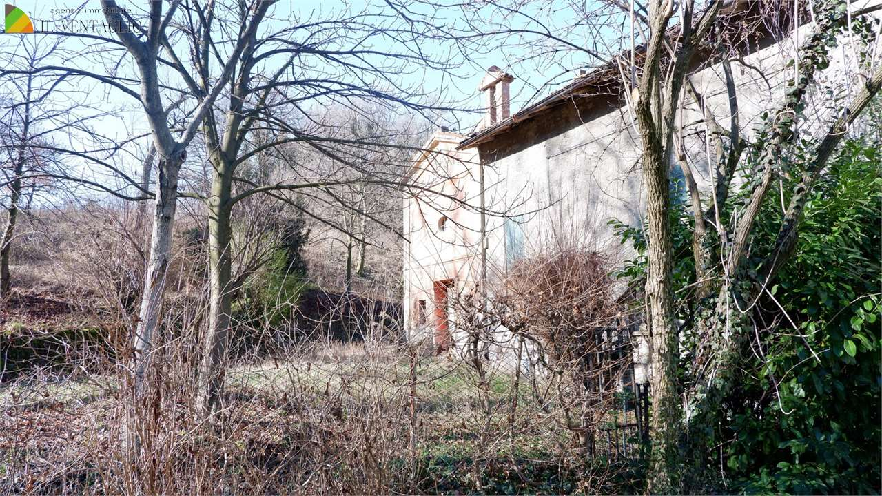 immagine annuncio 3 di 8