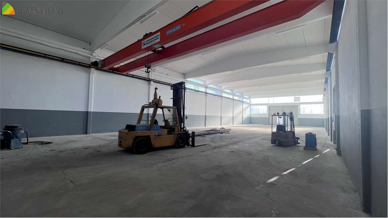 immagine annuncio 4 di 6