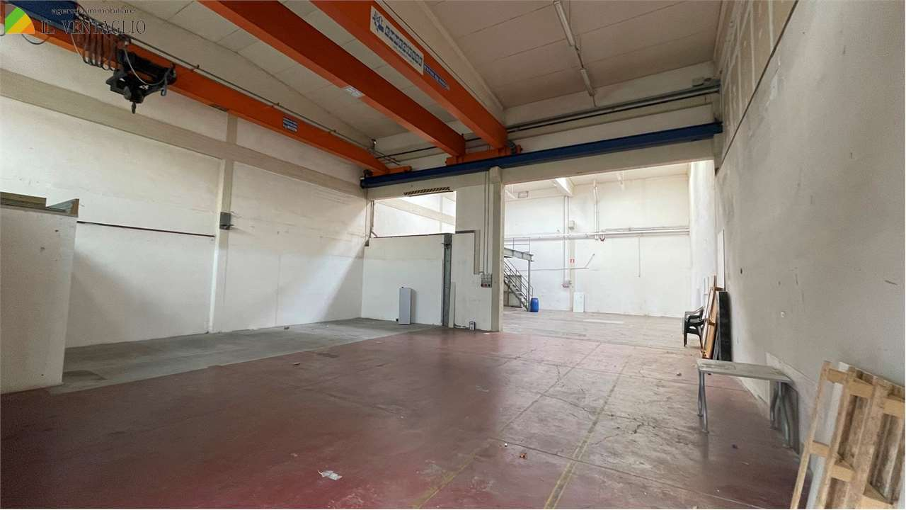 immagine annuncio 3 di 5