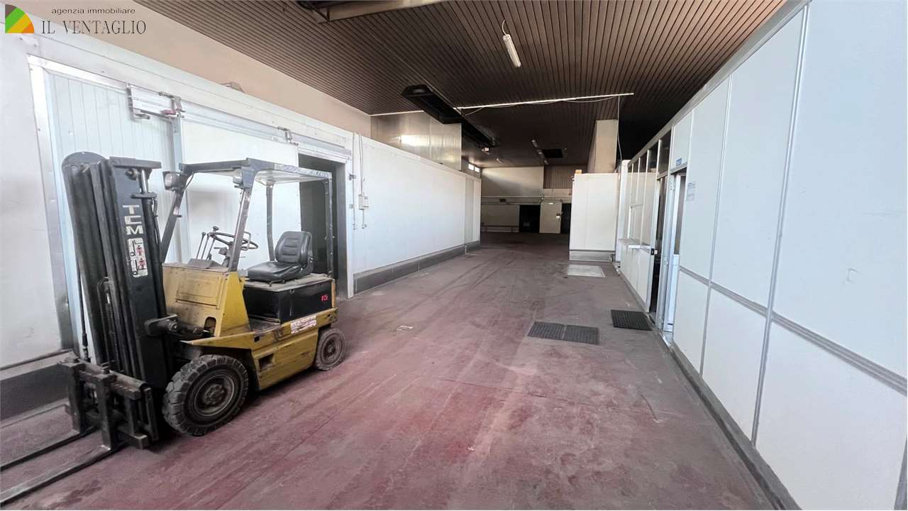 immagine annuncio 2 di 6