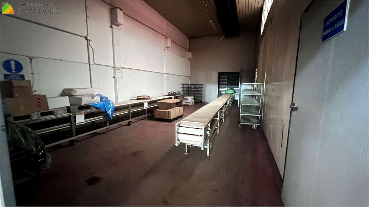 immagine annuncio 3 di 6