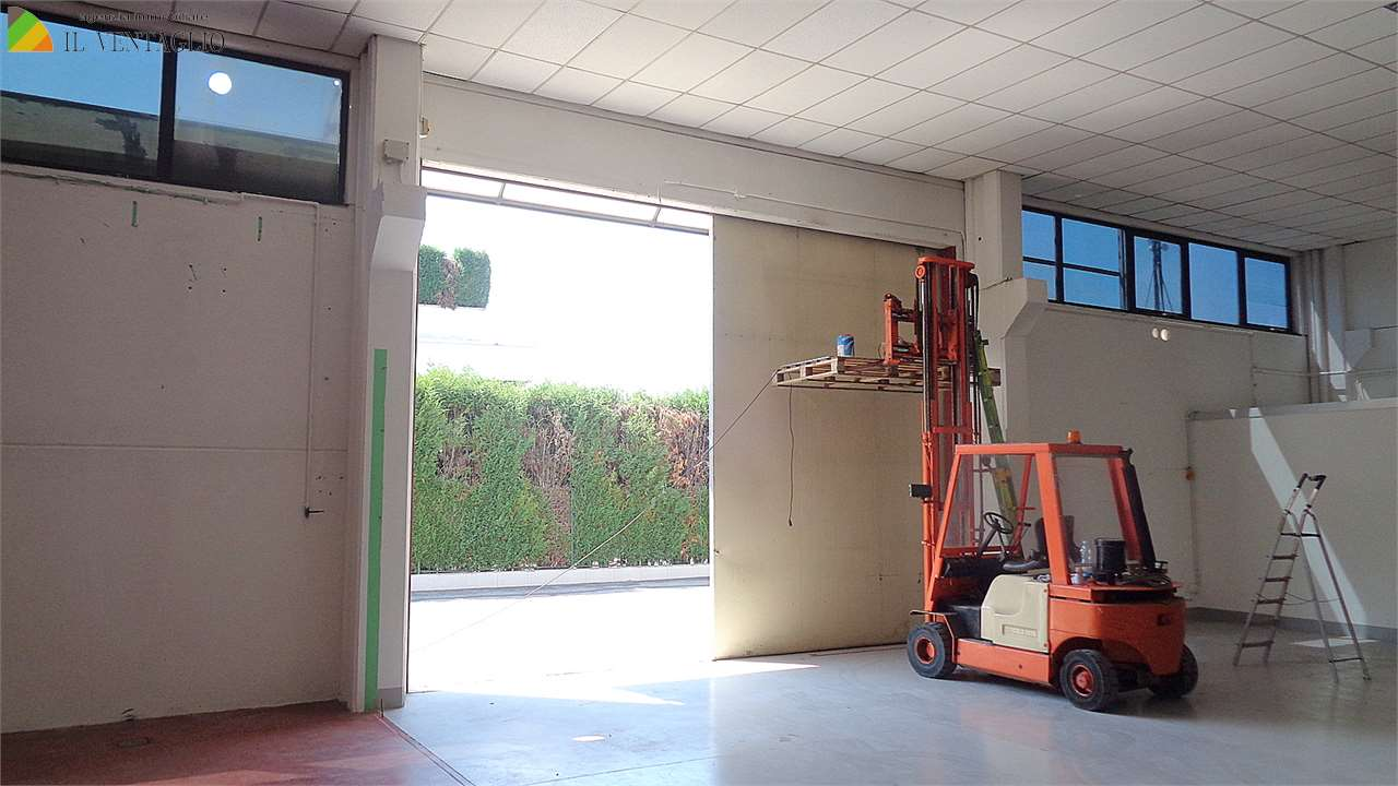 immagine annuncio 3 di 8