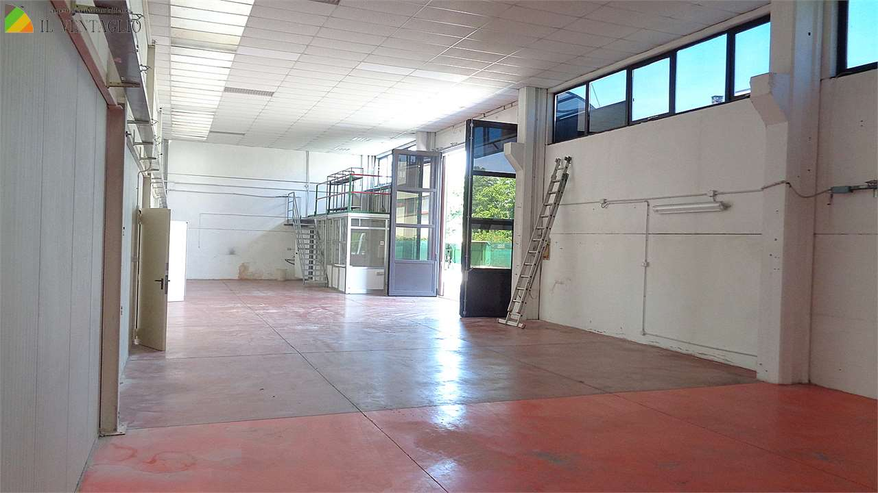 immagine annuncio 4 di 8