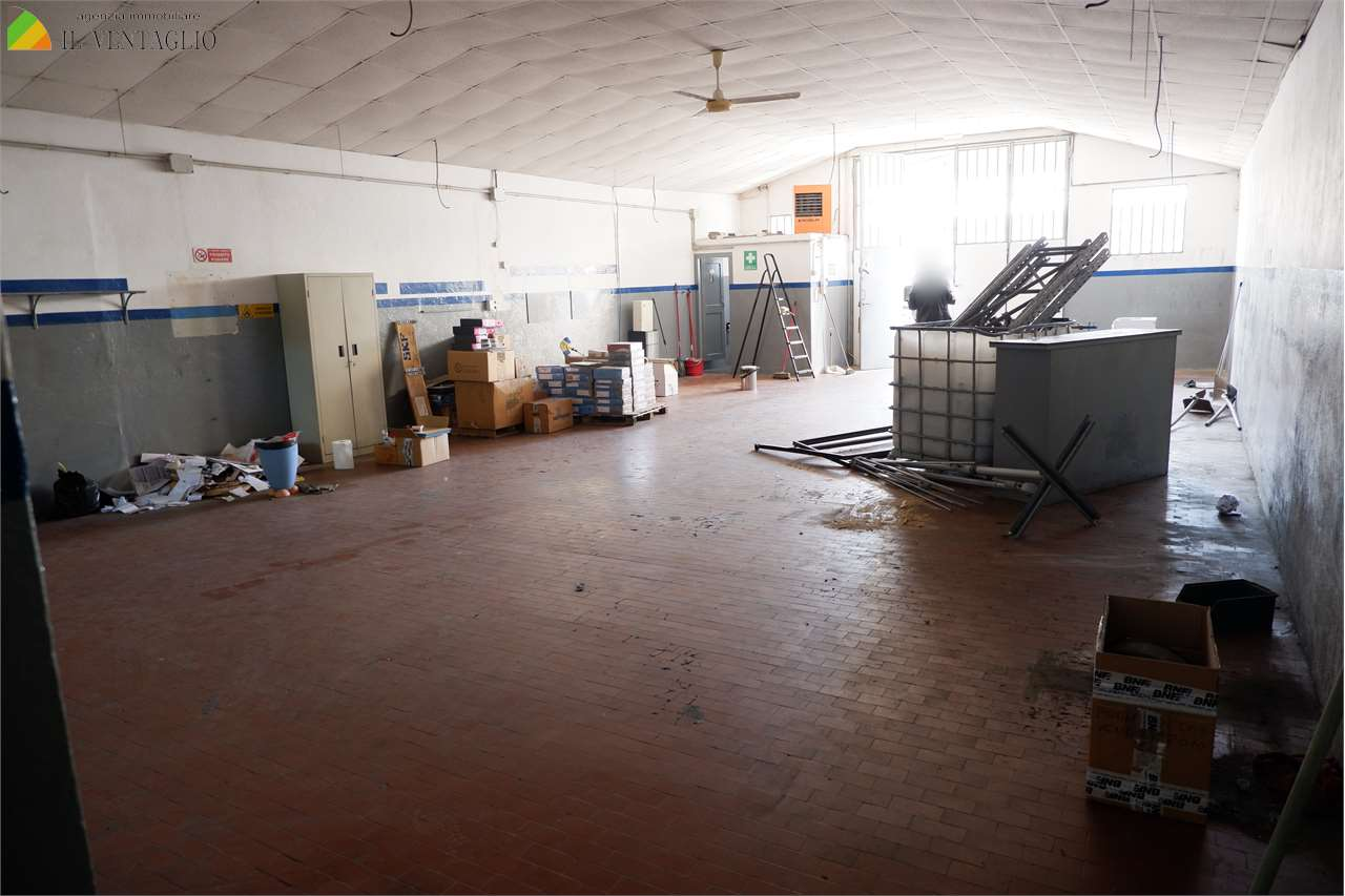 immagine annuncio 3 di 9