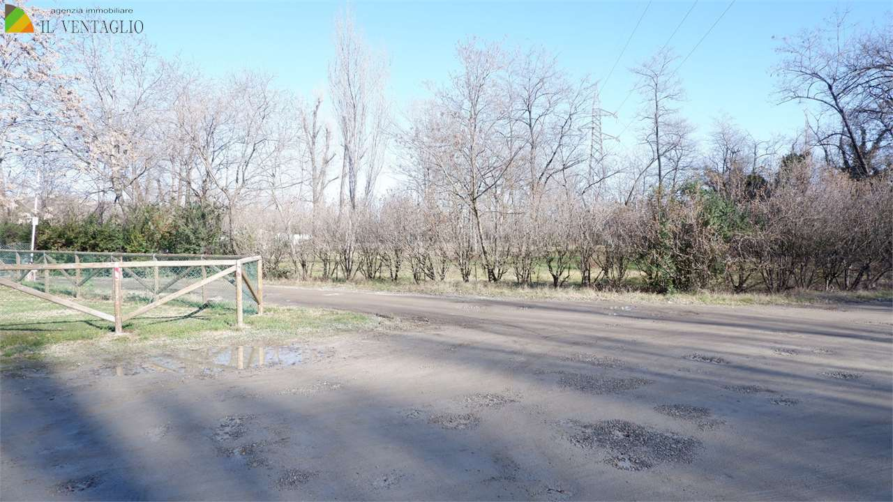 immagine annuncio 4 di 8