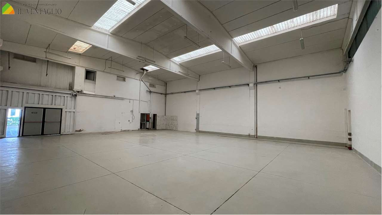 immagine annuncio 2 di 7