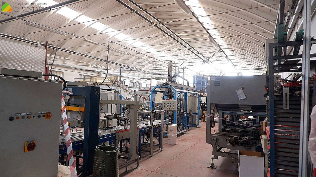 immagine annuncio 3 di 7