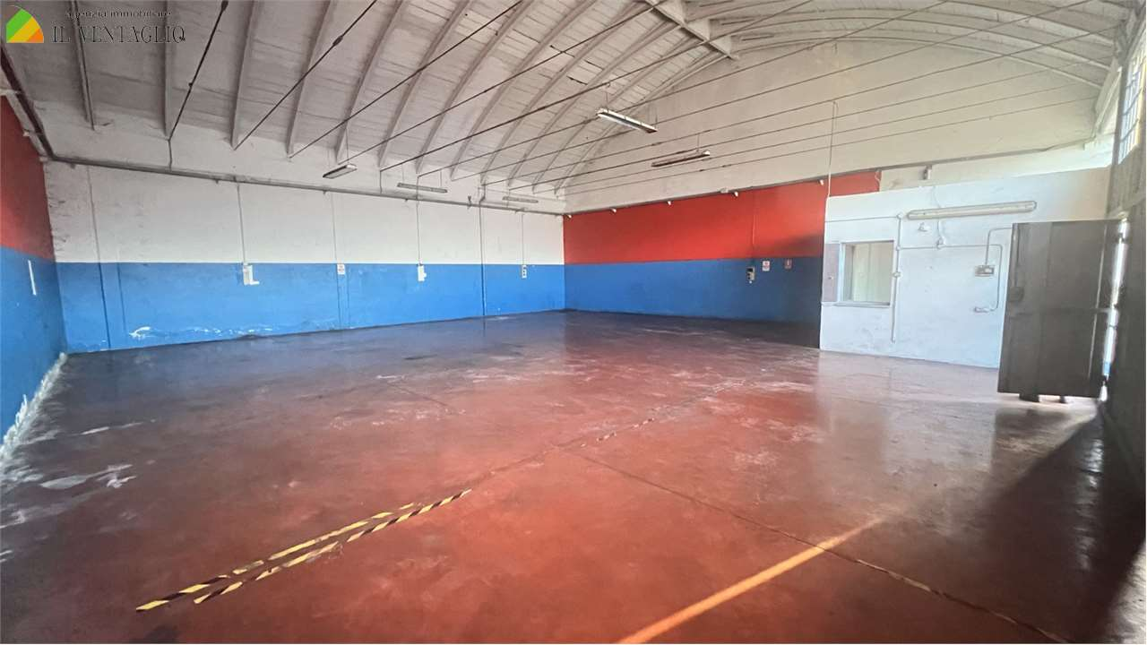 immagine annuncio 2 di 8