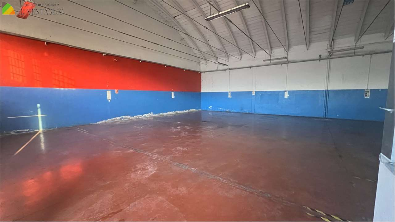 immagine annuncio 3 di 8