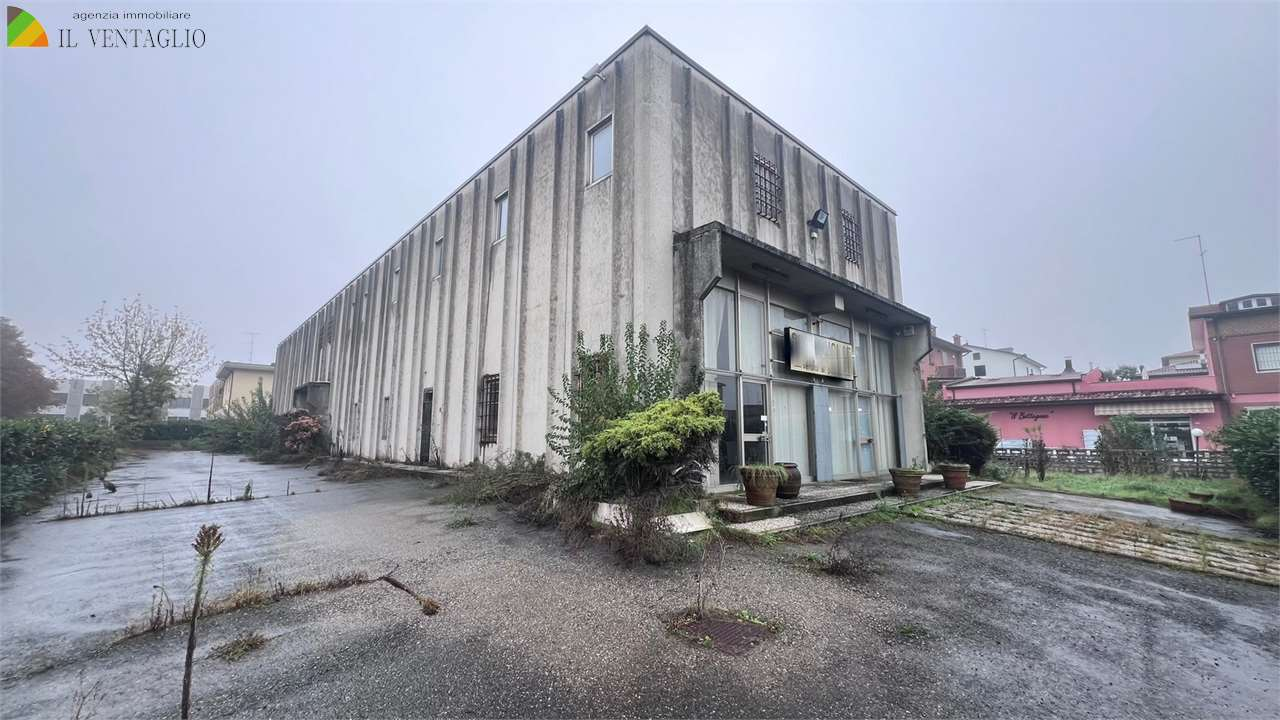 immagine annuncio 1 di 6