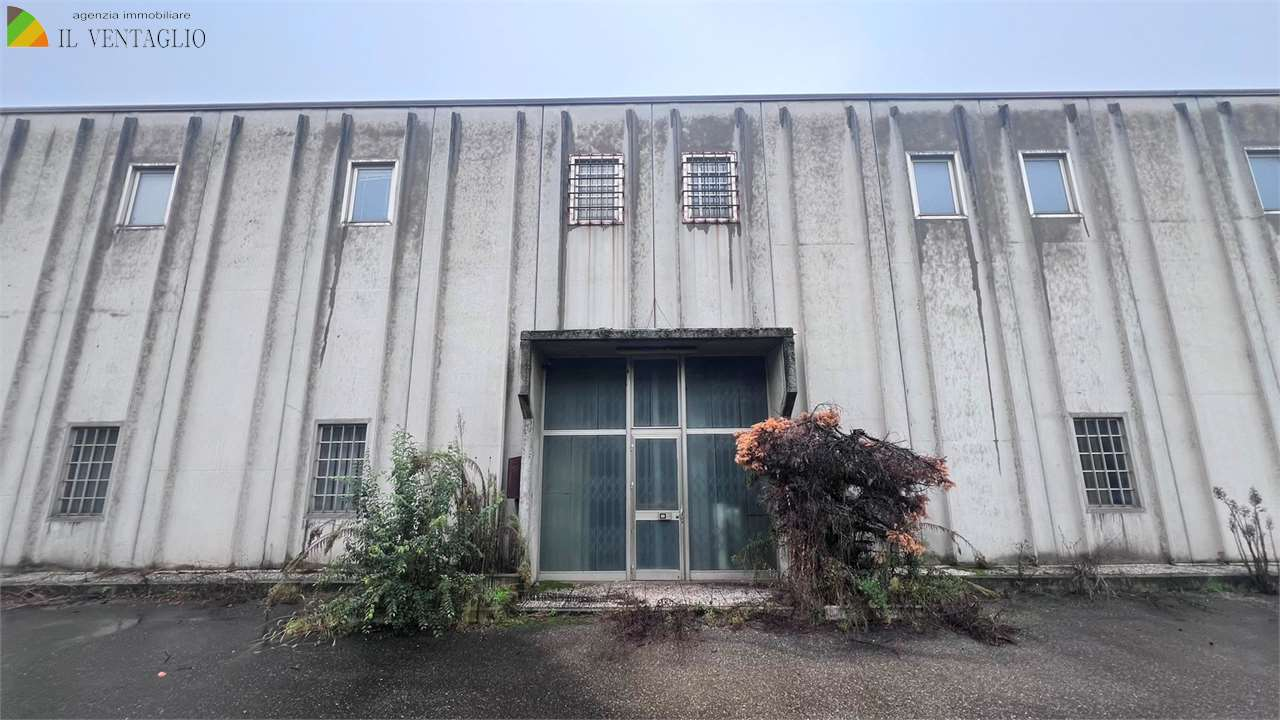 immagine annuncio 5 di 6