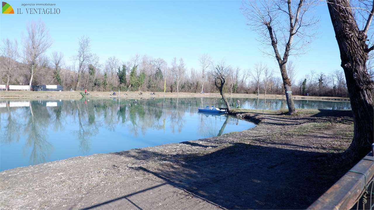 immagine annuncio 5 di 8