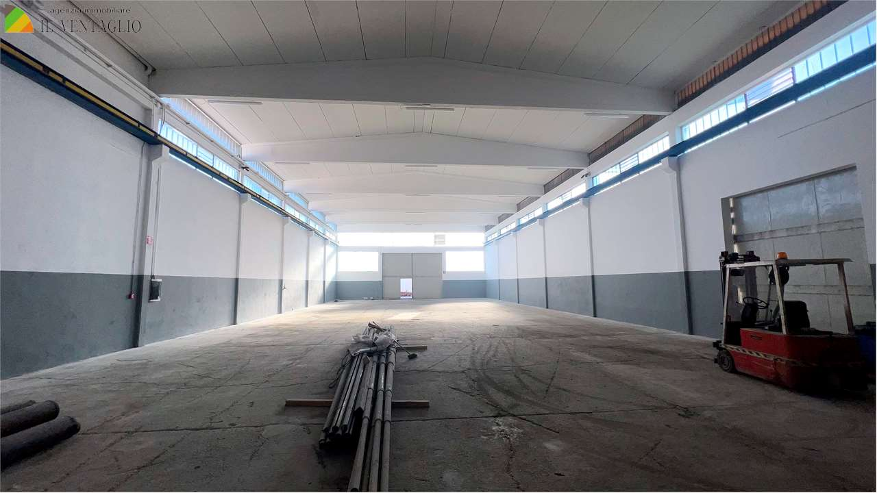 immagine annuncio 3 di 6