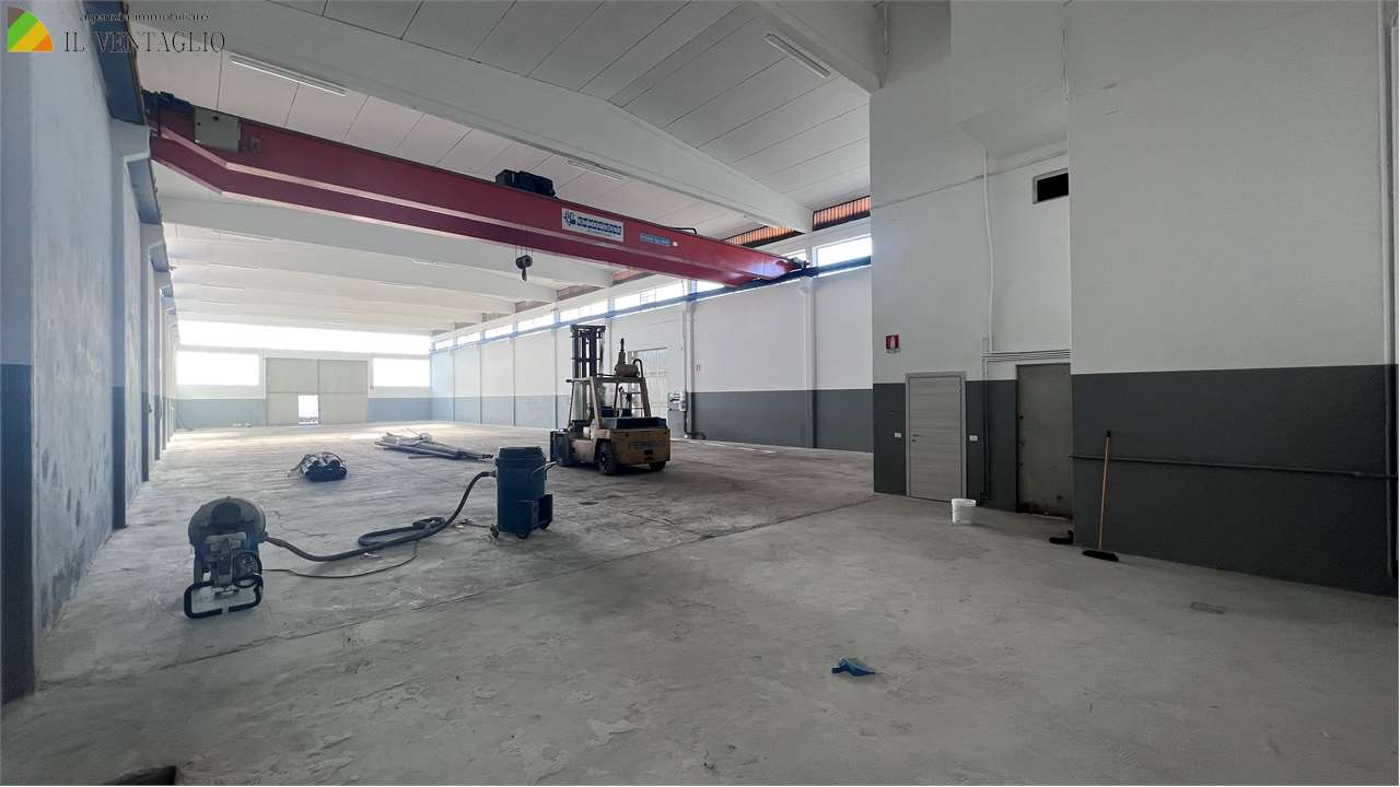 immagine annuncio 1 di 6