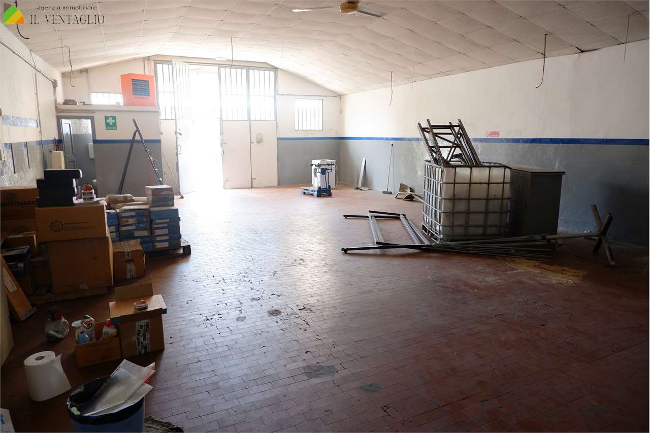 immagine annuncio 3 di 9