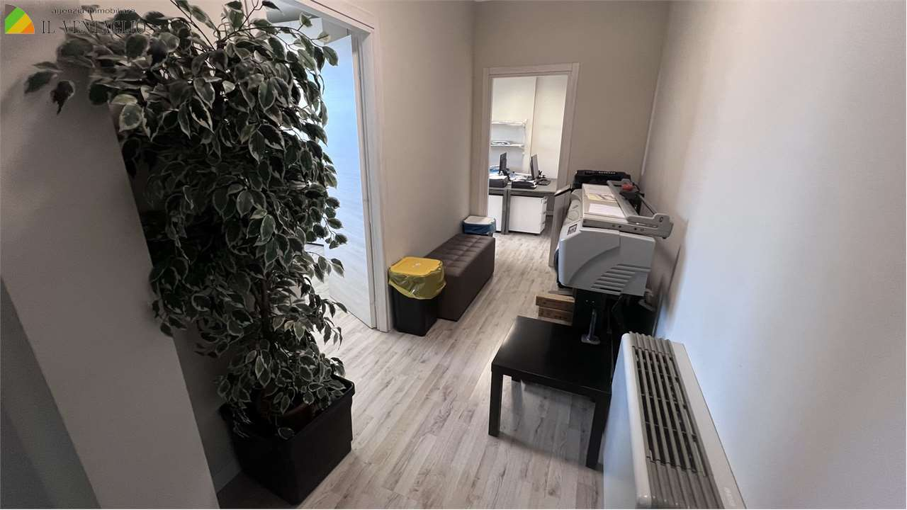 immagine annuncio 4 di 6