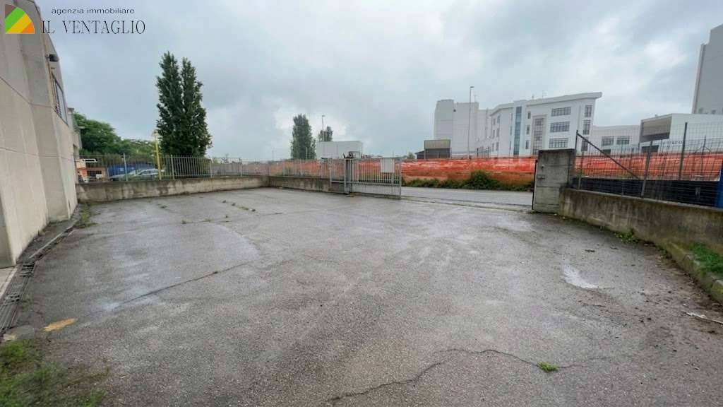 immagine annuncio 2 di 6
