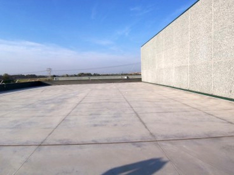 immagine annuncio 2 di 8