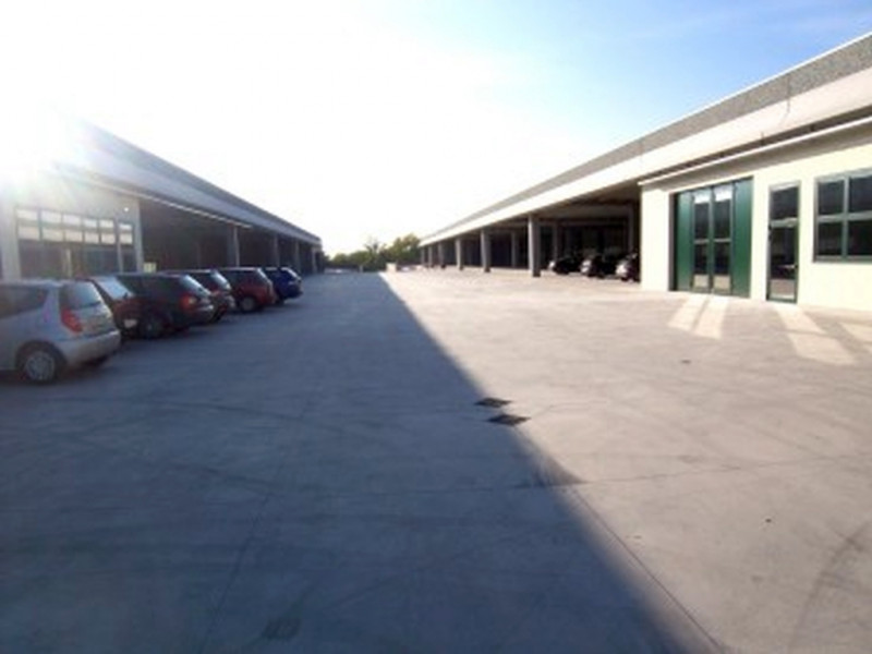 immagine annuncio 5 di 8