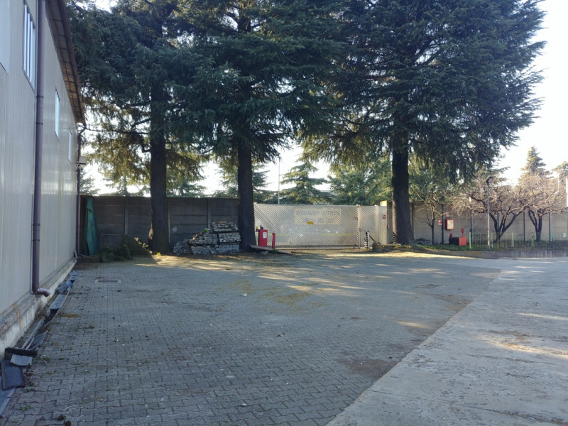 immagine annuncio 5 di 10