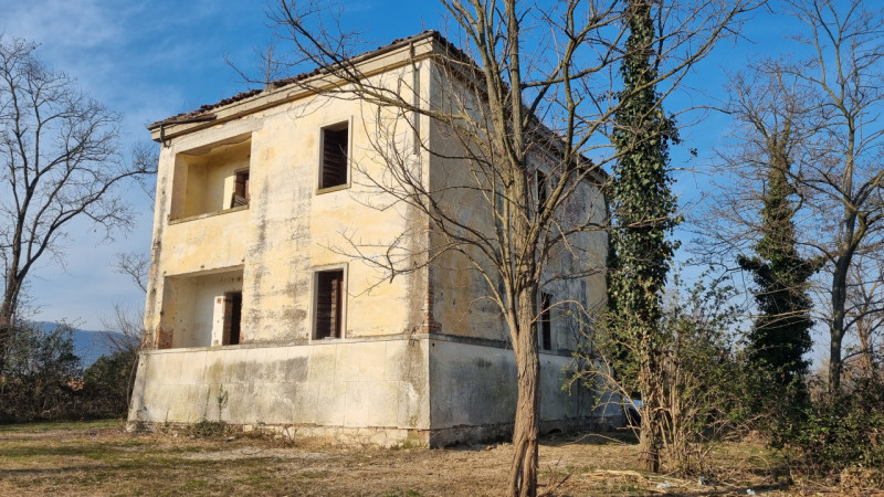 immagine annuncio 3 di 6