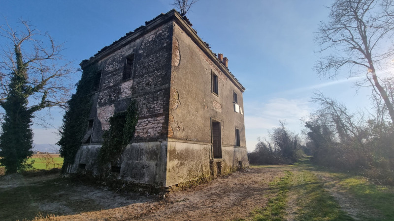 immagine annuncio 4 di 6
