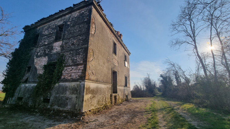 immagine annuncio 2 di 6