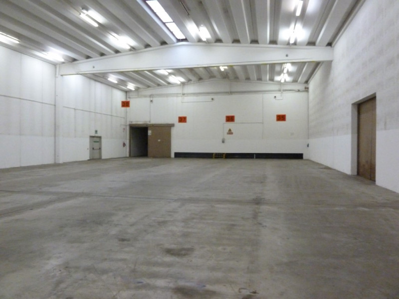 immagine annuncio 3 di 8