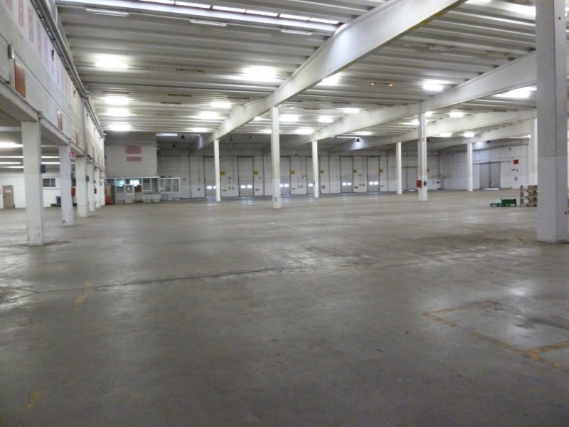 immagine annuncio 5 di 8