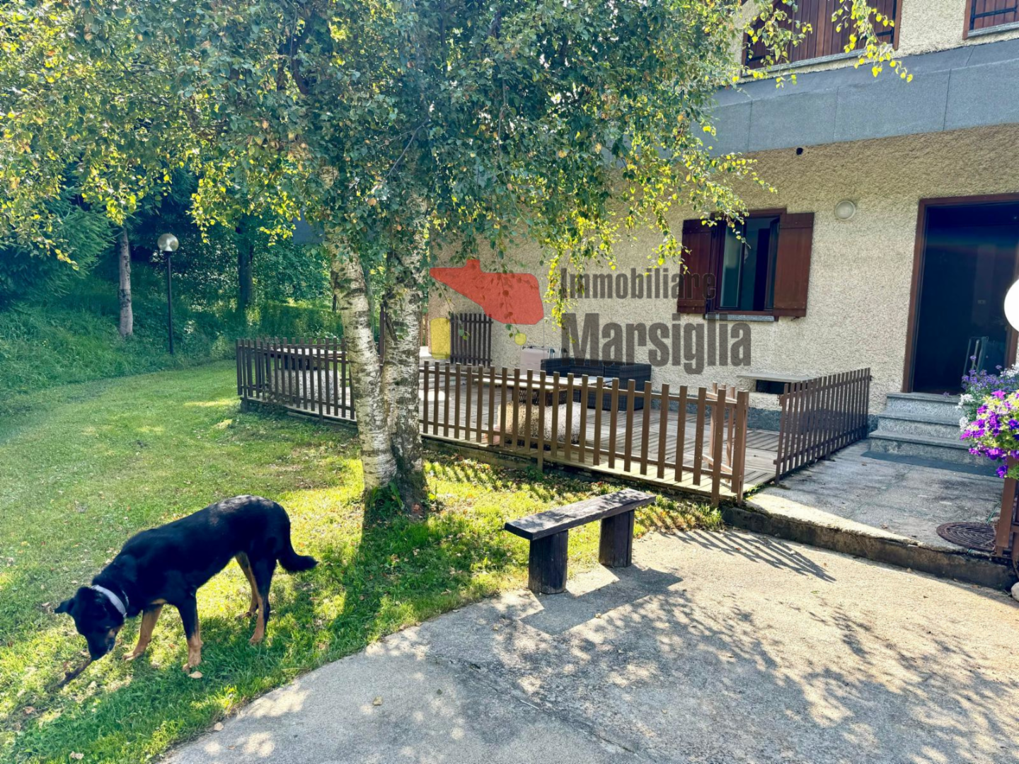 immagine annuncio 6 di 10