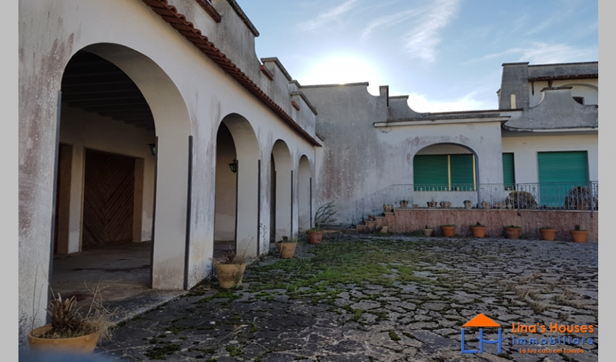 immagine annuncio 2 di 10