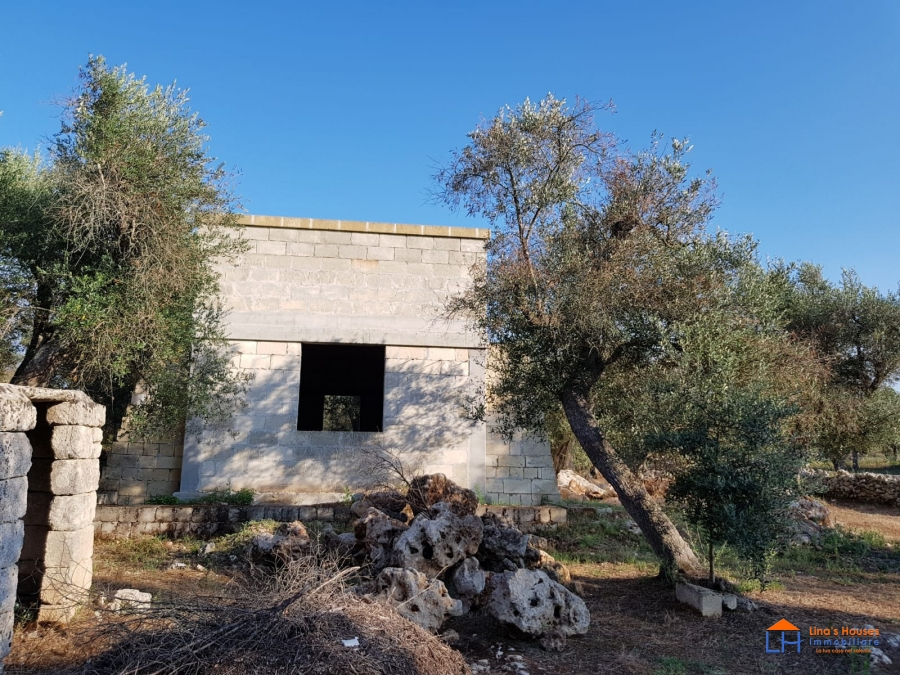 immagine annuncio 3 di 10