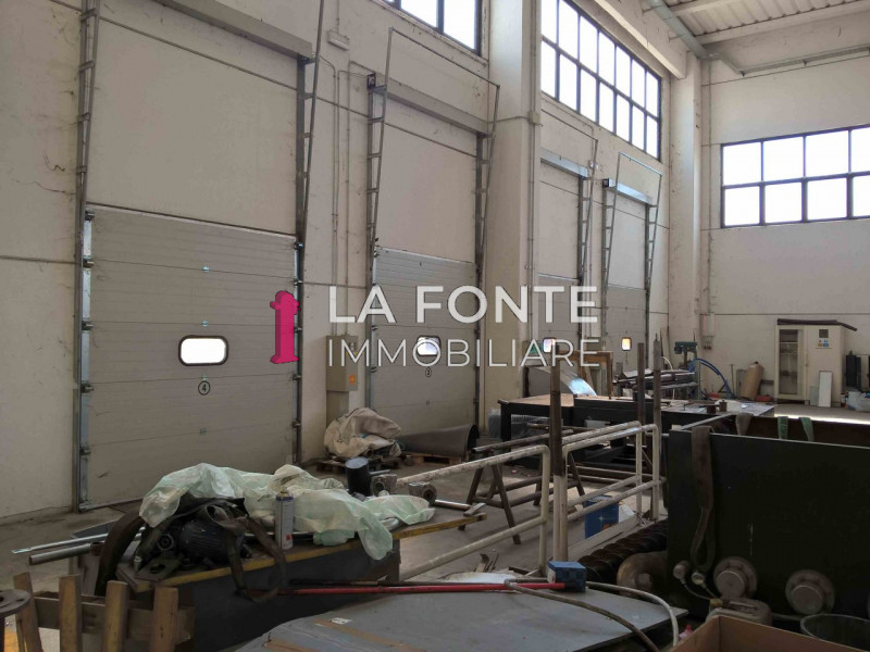 immagine annuncio 5 di 6