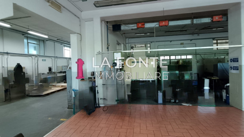 immagine annuncio 4 di 8