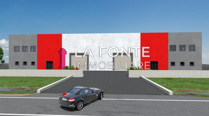 immagine annuncio 6 di 8