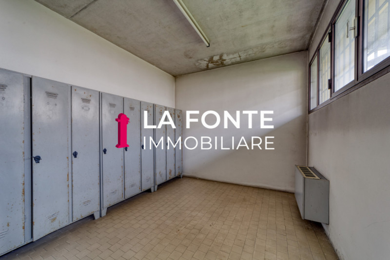 immagine annuncio 1 di 8