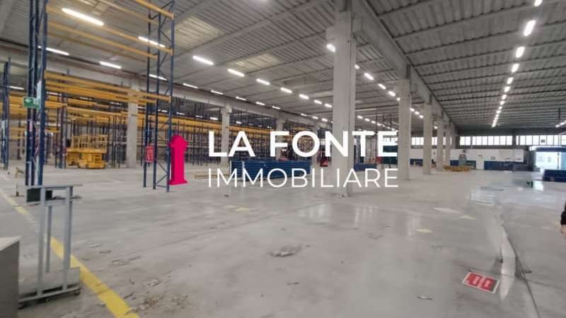 immagine annuncio 1 di 6