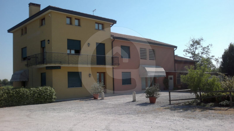 immagine annuncio 5 di 9