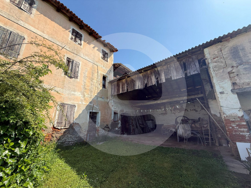 immagine annuncio 5 di 8