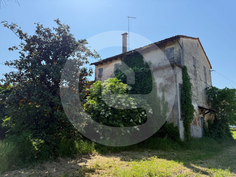 immagine annuncio 4 di 8