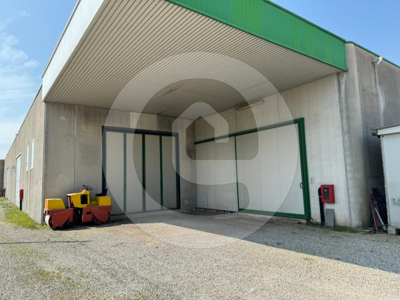 immagine annuncio 8 di 10