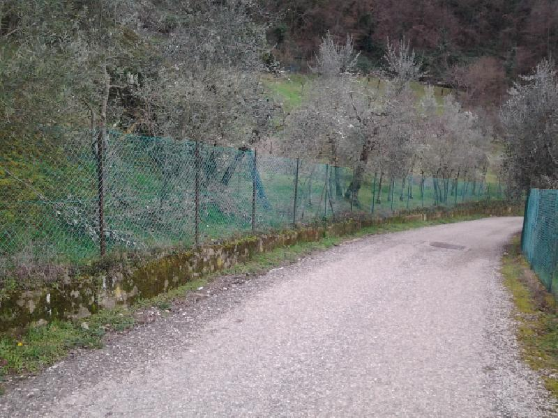 immagine annuncio 6 di 7