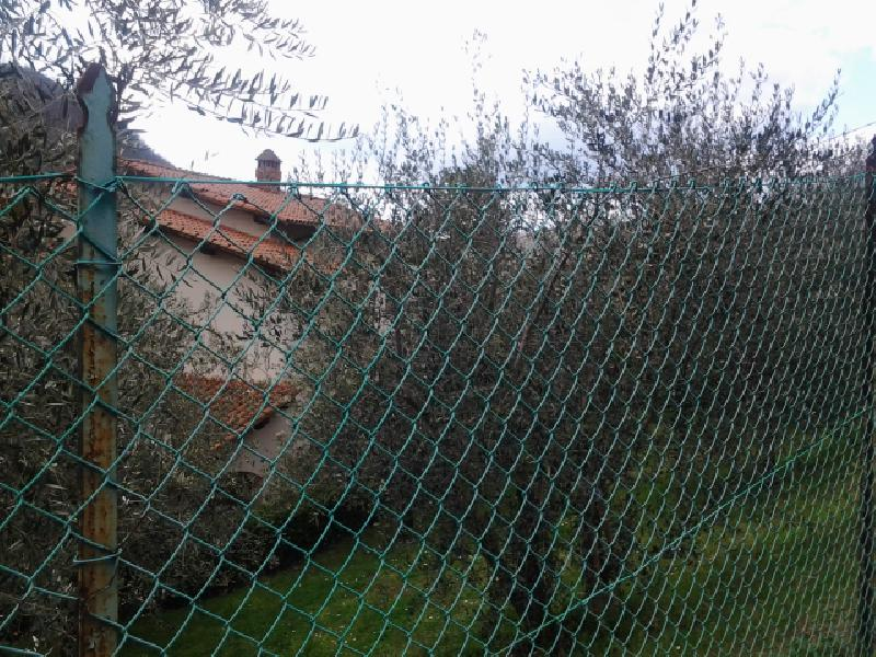 immagine annuncio 5 di 7
