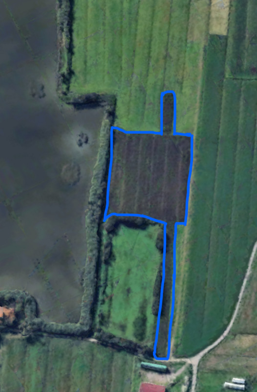 immagine annuncio 2 di 3