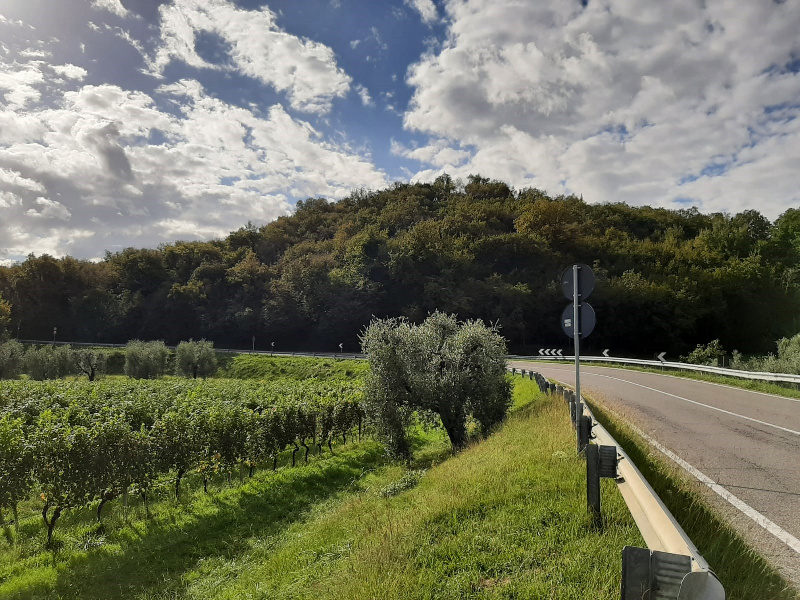 immagine annuncio 5 di 9